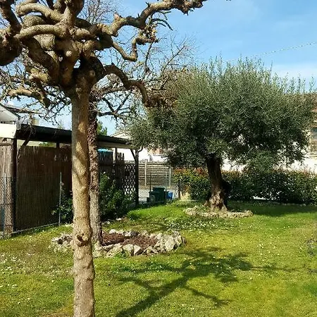 Bracci Villa