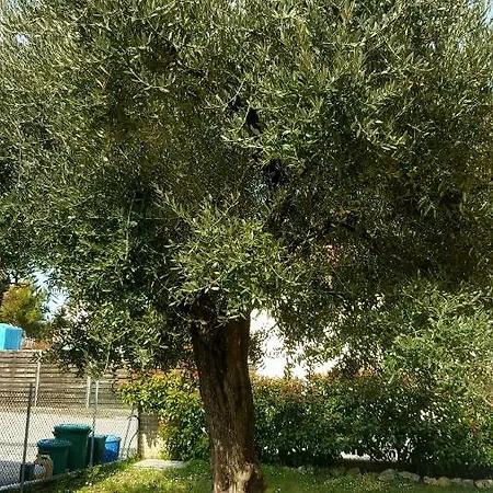 Villa Bracci *